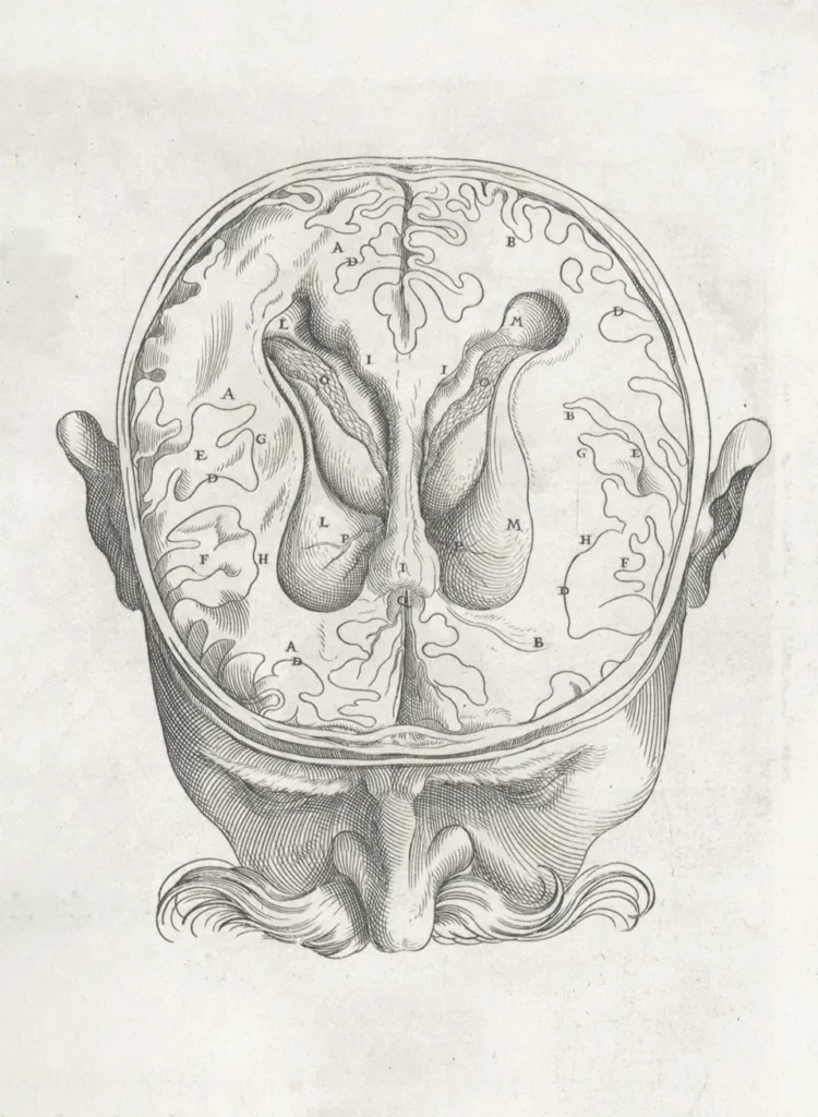 Inside the Mind of the Voter